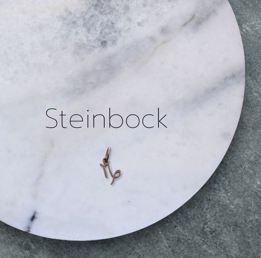 Sternzeichen Steinbock - Edelstahl Anhänger